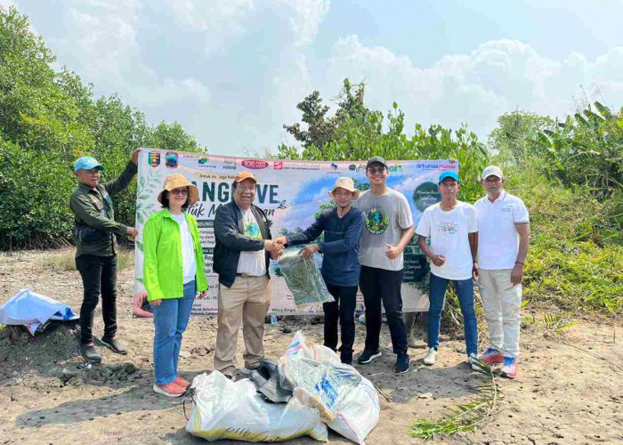 Wujudkan Komitmen ESG dan Keberlanjutan, PT Nestle Indonesia Pabrik Panjang Gelar Penanaman Mangrove