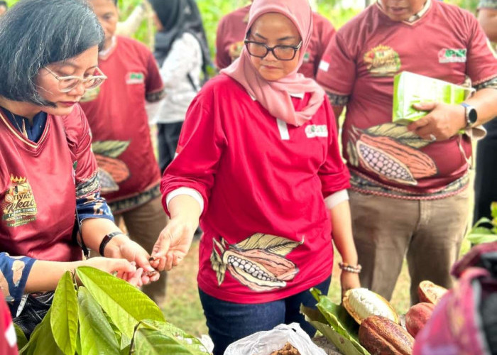 Festival Kakao Lamtim Dorong Transformasi Perkebunan, Bupati Ela Ajak Petani Tingkatkan Nilai Tambah Produk  