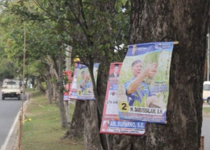 YKWS Catat 300 Lebih APK Terpaku di Pohon Ruas Jalan Bandar Lampung