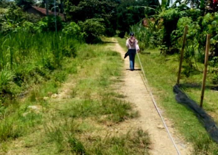 100 Hari Kerja Mirza-Jihan, Pemprov Lampung Bangun Konektivitas dan Infrastruktur Pertanian