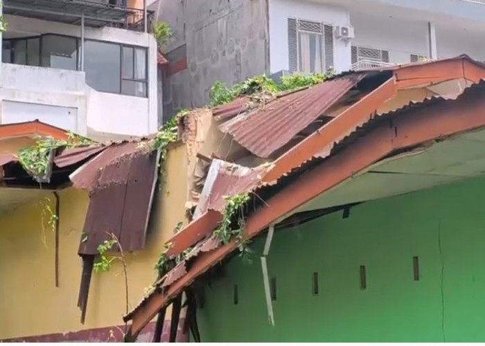 Pohon Berdiameter 120 Cm Tumbang, Dua Ruangan SDN 1 Pecoh Raya Rusak
