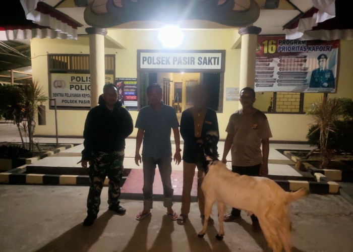Pencuri Kambing di Lampung Timur Berhasil Ditangkap