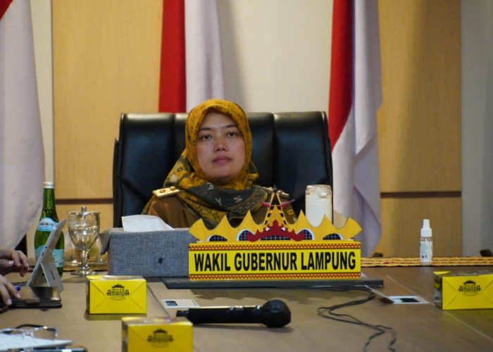 Wagub Chusnunia Ikuti Rakor Pengendalian Inflasi Daerah Bersama Menteri Dalam Negeri