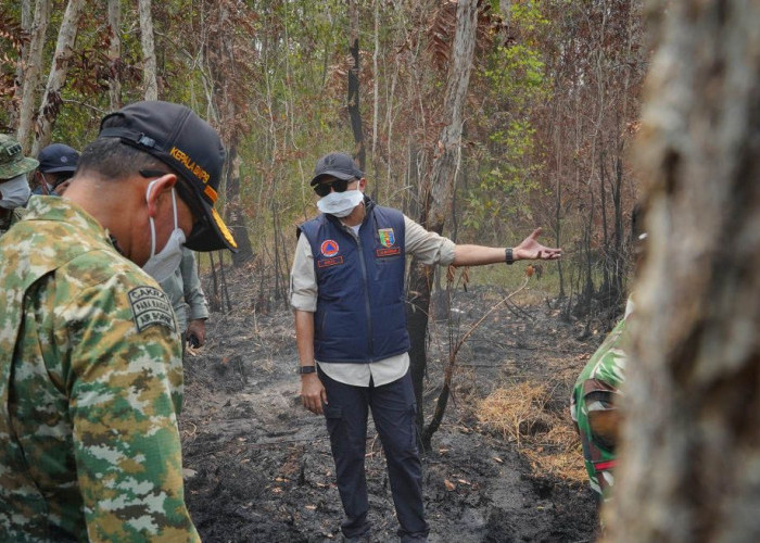 Gubernur Mirza Tegaskan Pemadaman Karhutla TNWK Harus Dipercepat, Kesehatan Warga Jadi Prioritas