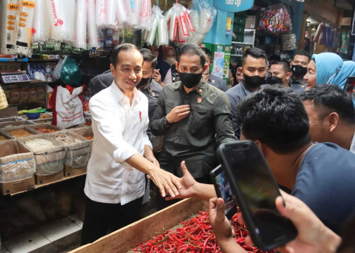 Presiden Joko Widodo Kunjungi Pasar Natar, Pastikan Kestabilan Harga, Ketersediaan Bahan Pangan dan Pasokan Ba