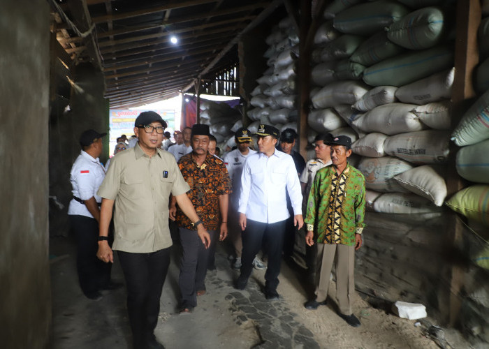 Dari Pupuk Hayati Hingga KUR: Bupati Parosil dan Gubernur Genjot Ekonomi Petani BNS