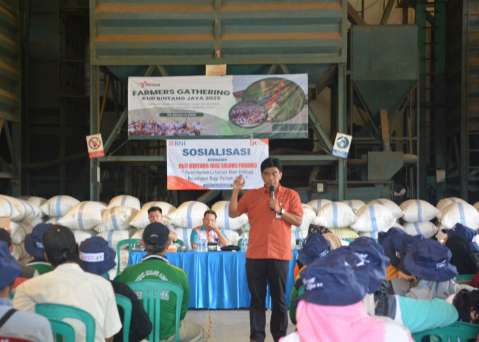 OJK Gandeng BNI Gelar Edukasi Literasi Keuangan Bersama Petani Kopi KUB Bintang Jaya