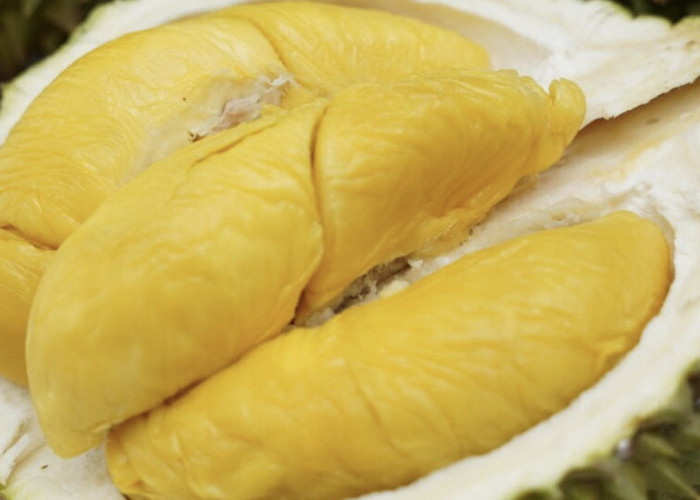 3 Durian Terenak dan Termahal di Dunia, 2 Durian Indonesia