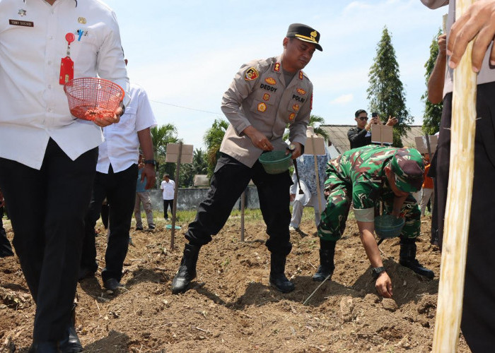 Dukung Swasembada Pangan, Polres Lampung Utara Gelar Penanaman Jagung Serentak Kuartal IV 