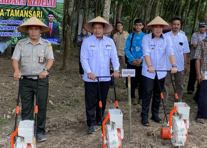 Pesawaran Jadi Lokus Kementan Tanam Kedelai Seluas 1000 Hektar