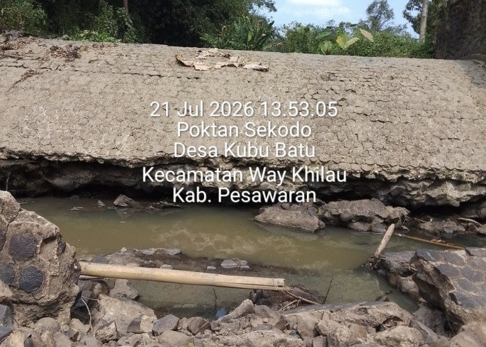 Bendungan Penyangga Ketersediaan Air Ratusan Hektar Sawah Luput Dari Perhatian Pemerintah 