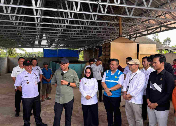Dampingi Gubernur Lampung Tinjau Produksi Gabah Mesuji dan Tulang Bawang, PLN Siap Dukung Infrastruktur