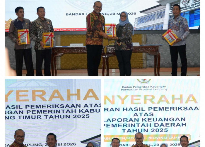 Lampung Timur Kembali Raih WTP, Bupati Ela: Ini Hasil Kerja Keras Seluruh OPD