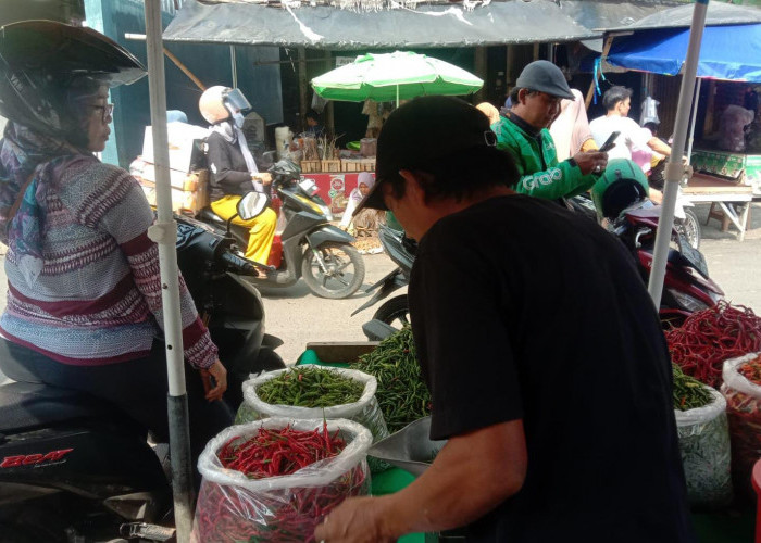 Harga Cabai Merah di Kota Metro Melonjak, Tembus Rp80 Ribu Per Kilo