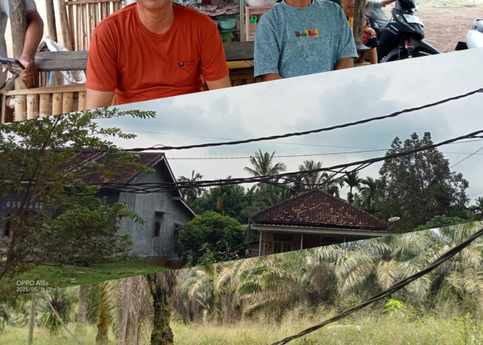 Warga Resah Kabel Listrik PLN Terjuntai, Minimnya Perawatan Jadi Pemicu Utama