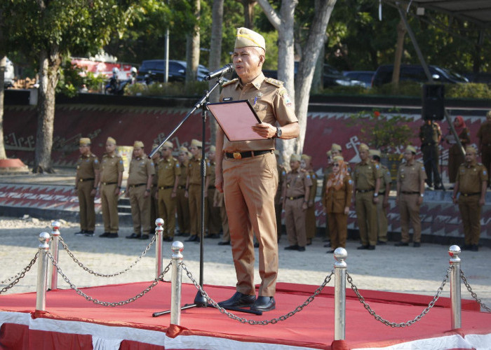 Pemkab Lamsel Ajak Jajaran Sukseskan Program GESERBU