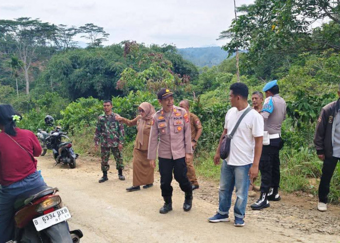 Penampakan Harimau Gegerkan Warga Tanjung Raja, Aparat Turun Tangan