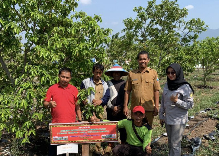 Poktan Permata Hijau: Merawat Kebun Edukasi dari Balik Layar