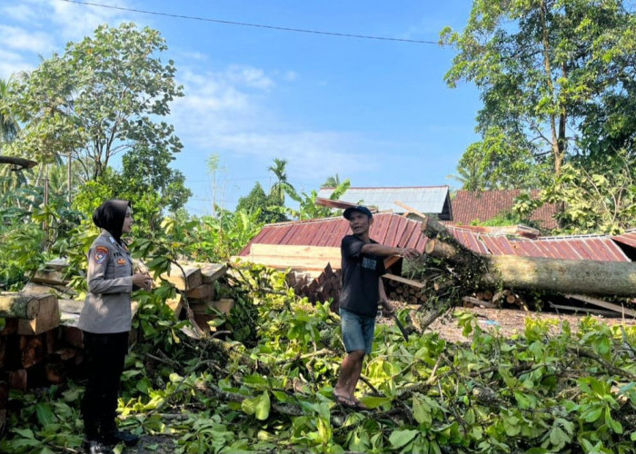 Puting Beliung Terjang Banyu Urip Wonosobo, 13 Bangunan Rusak, Satu Pohon Tumbang