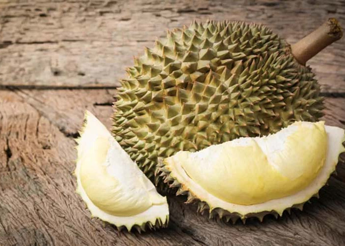  Mengenal Buah  Durian Mitos dan Fakta