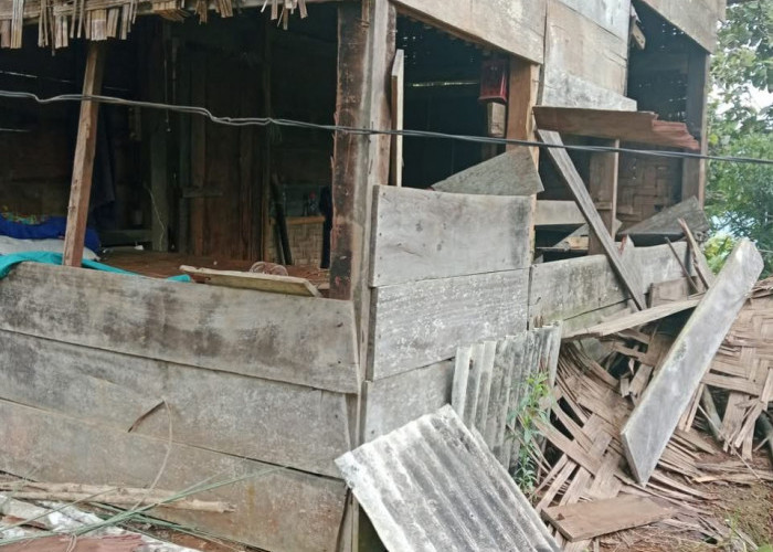Darurat, Warga Lampung Barat Dihantui Serangan Satwa Liar