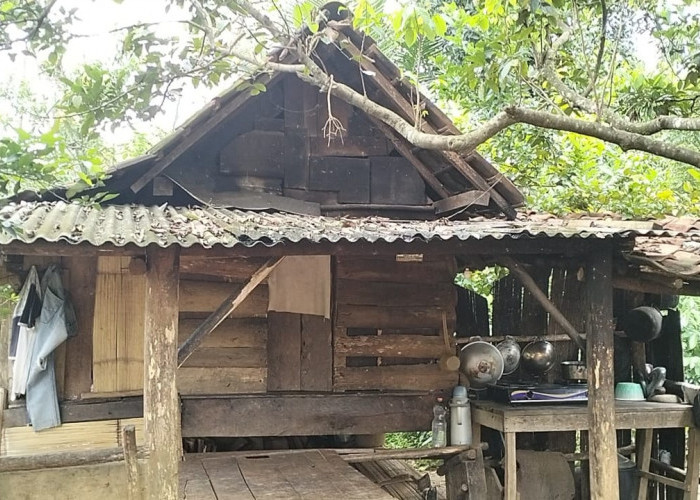 Gubuk Reyot Kandang Kambing Jadi Bukti Kemiskinan Ekstrem di Bumi Ragem Tunas Lampung