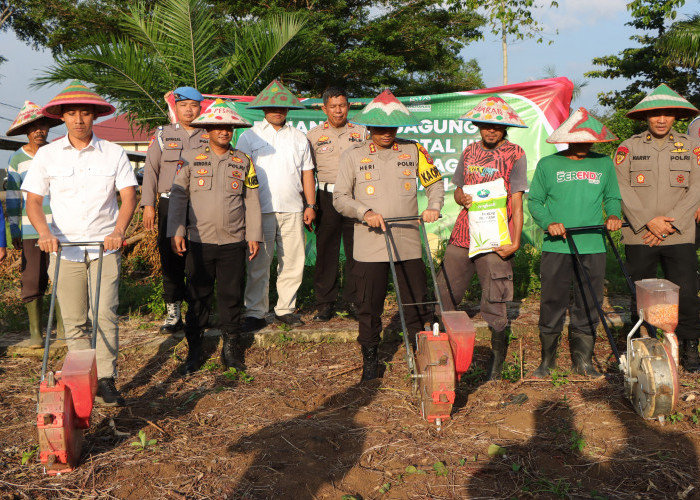 Dukung Ketahanan Pangan Nasional, Polres Pesawaran Gelar Penanaman Jagung Serentak