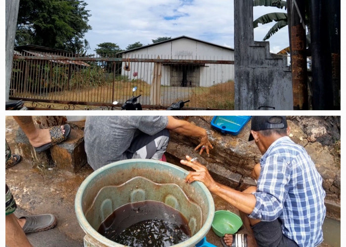 Diduga Gudang Tempat Penyimpanan Kernel Kelapa Sawit Milik PT BW Cemari Lingkungan Warga