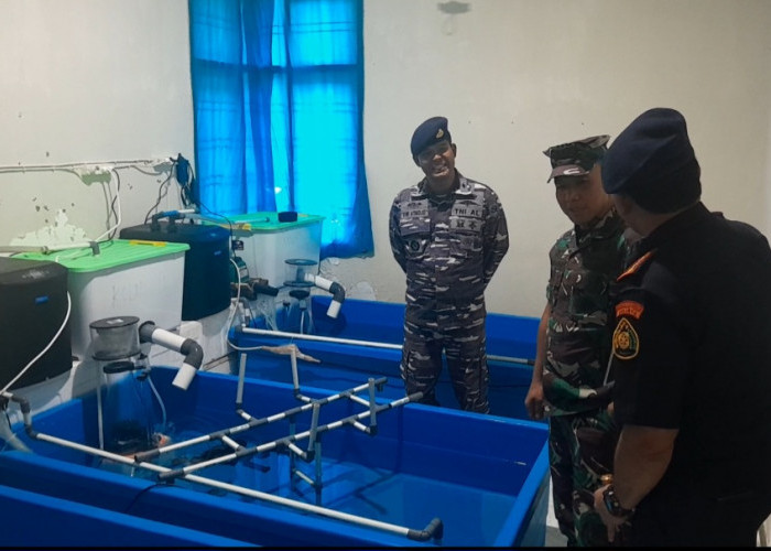 Lanal Lampung Dan Brigif 4 Marinir Grebek Gudang Babby Lobster Di Perumahan Mewah 