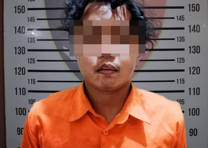 Warga Teluk Betung Jadi Korban Pemerkosaan dan Perampokan di Perkebunan Pekon Sidoharjo Pringsewu