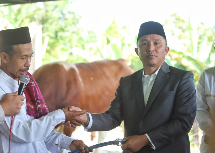 Hewan Kurban Presiden Diambil dari Peternak Lokal, Parosil Harap Jadi Inspirasi Bagi Peternak Lambar