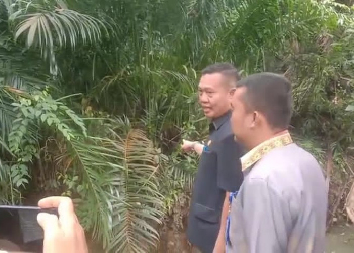 Terbukti Melanggar, PT.KAP Tanam Sawit Dekat Sungai, DPRD Siap Tindak