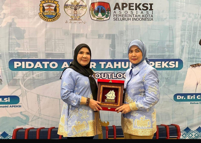 Wakil Wali Kota Makassar Perkuat Sinergi Pembangunan Inklusif di APEKSI Outlook 2025 Bandar Lampung