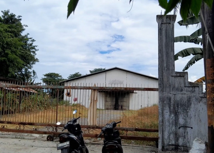 Diduga Gudang Tempat Penyimpanan Kernel Kelapa Sawit Milik PT BW Cemari Lingkungan Warga