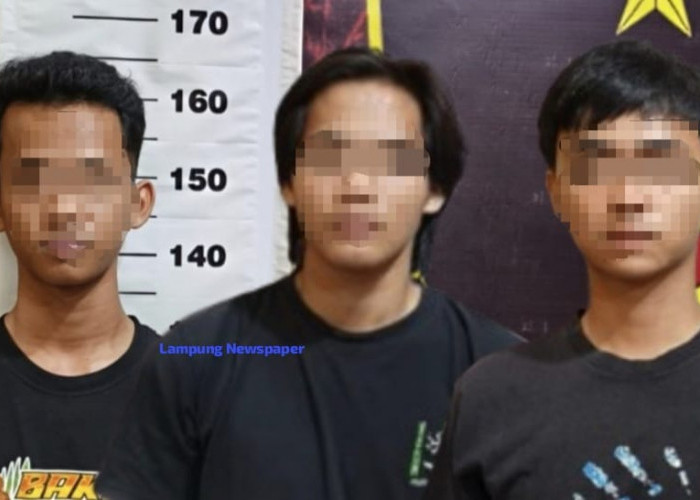 Keroyok Anggota Organisasi Pesilat, Tiga Pemuda Ditangkap Polisi