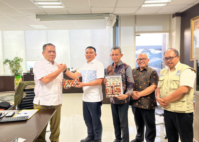 Audiensi ke BNPB RI, Parosil Kebut Proyek Penanganan Pasca Bencana