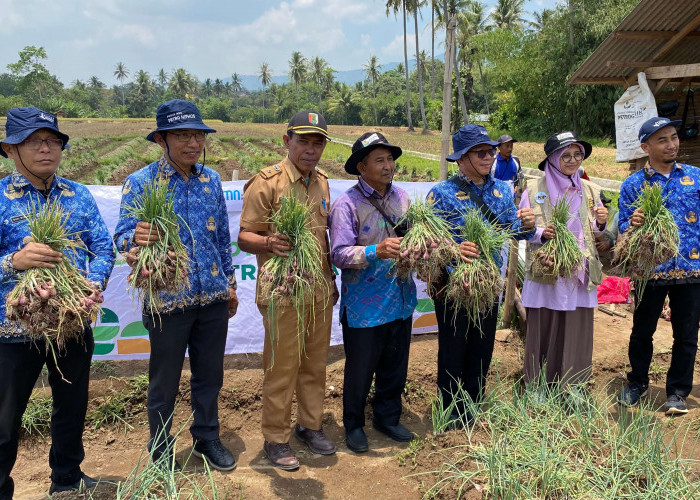 Desa Sukadadi Jadi Kampung Brebesnya Pesawaran