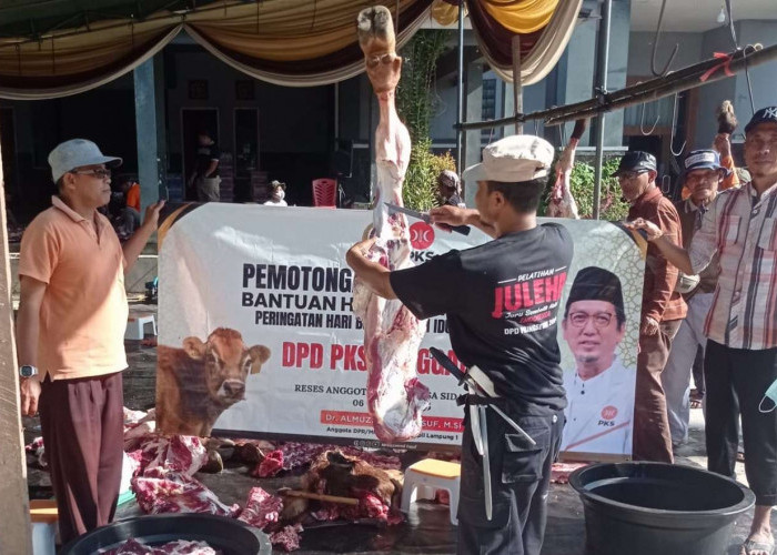 Idul Adha 1446 H, PKS Tanggamus Sembelih 5 Sapi dan 2 Kambing 