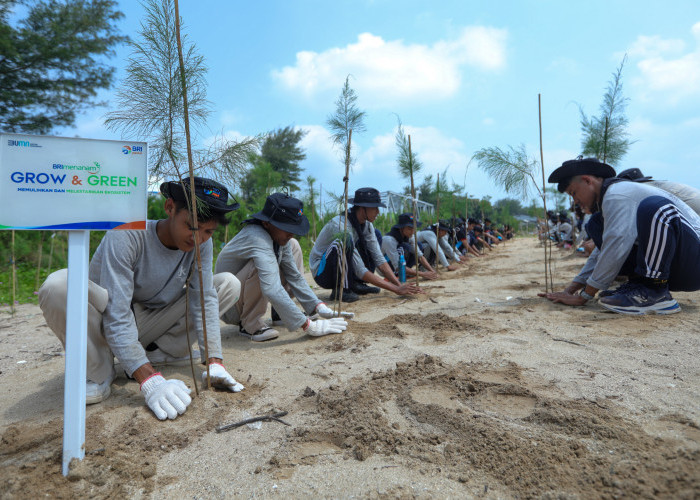 Peringati Hari Lingkungan Hidup Sedunia, BRI Pertegas Komitmen dalam Menjaga Ekosistem Lingkungan melalui BRI 