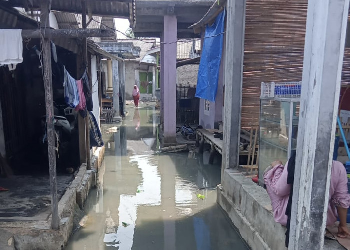   Banjir Rob Kepung  Pemukiman Kualajaya Sragi