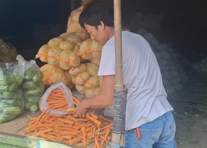 Harga Wortel di Kota Metro Meroket, Penjualan Turun Drastis