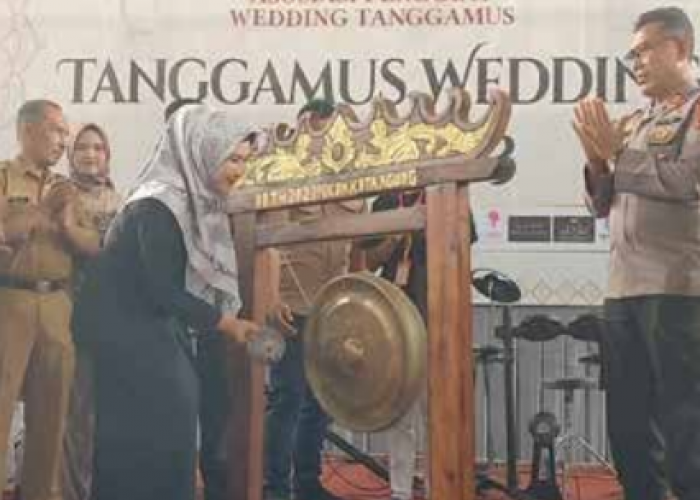 Bupati Tanggamus Ingin Pengusaha Wedding Ikut Lestarikan Adat Budaya Lampung Pesisir