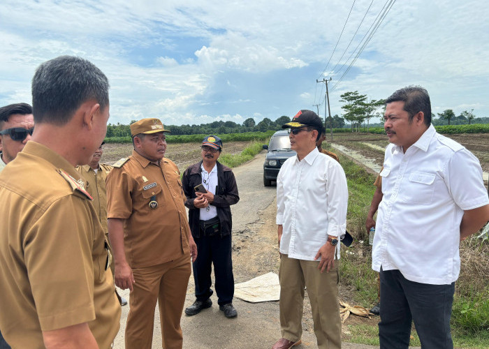 Lampung Jadi Provinsi Penyangga Pangan Nasional