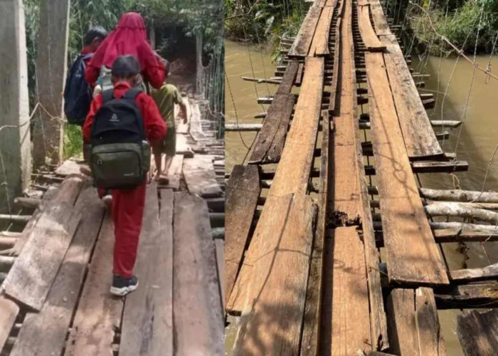 Lintasi Jembatan Gantung di Tanggamus Siswa SD Nyaris Terjatuh ke Sungai Deras