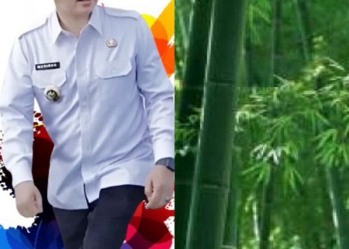 Imbau Tanam Bambu, Pj Bupati Marindo Ajak Warga Pringsewu Angkat Ikon Khas Daerah 