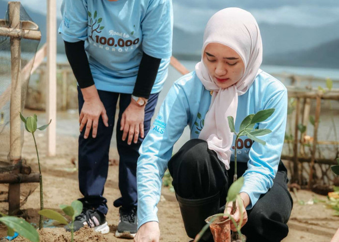 Wagub Lampung Jihan Nurlela Tanam 25.000 Mangrove di Marines Ecopark