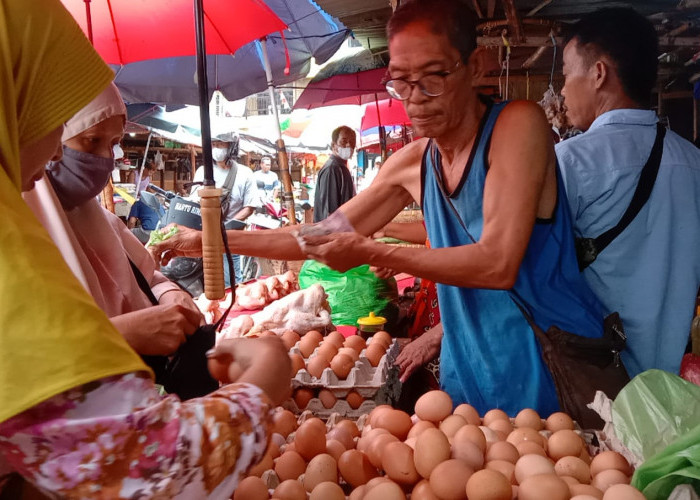 Harga Telur Ayam di Bandar Lampung Melambung Hingga Rp33 Ribu per Kg