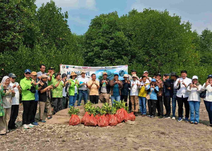 Gotong Royong Hijau, Forum CSR Lampung Tanam 4.000 Mangrove