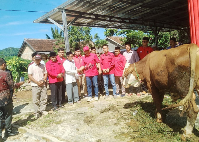 DPC PDI Perjuangan Lambar Serahkan Bantuan Hewan Kurban di Pekon Sidodadi Kecamatan Air Hitam