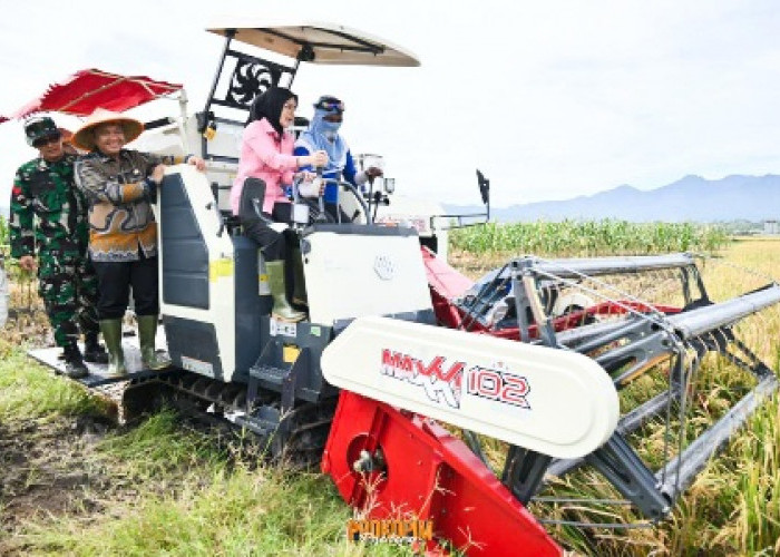 Bantuan Alsintan dan Produksi Pupuk Organik Cair Dorong Produktifitas Pertanian Pesawaran 